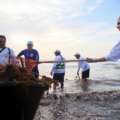 Retiran más de 150 toneladas de sargazo tras recale atípico en Isla Mujeres