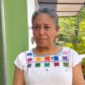 Investigan denuncia en redes de hallazgo de crías de tortuga en contenedor de basura en Tulum
